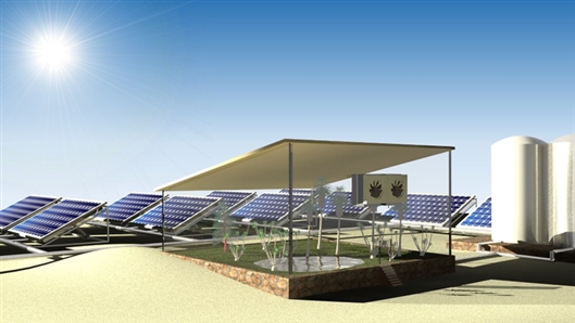 沙特科学家发明太阳能驱动系统：空气中取水，沙漠里种菜