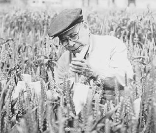 我国小麦遗传育种学科主要奠基人庄巧生院士逝世