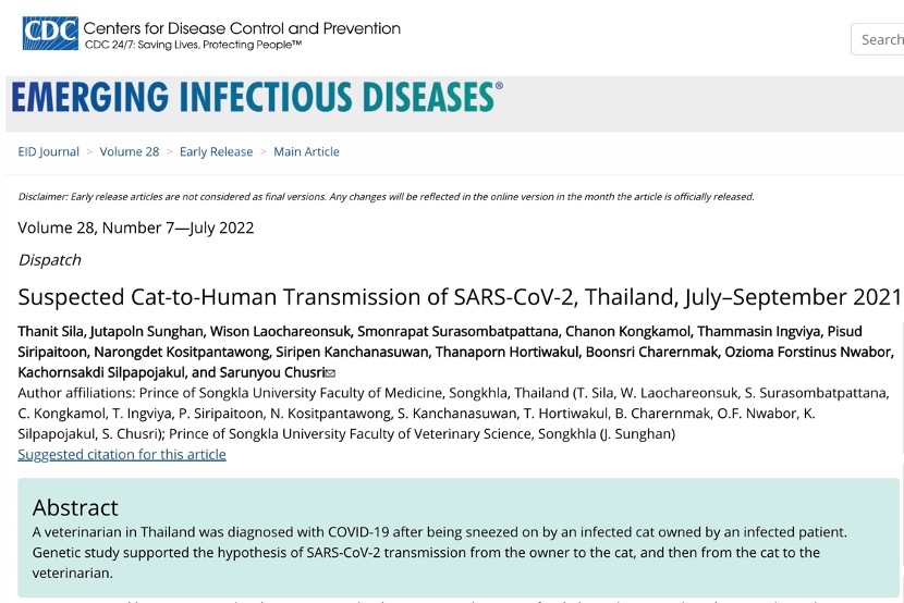 美国CDC旗下刊物：泰国报告1例新冠病毒疑似猫传人病例